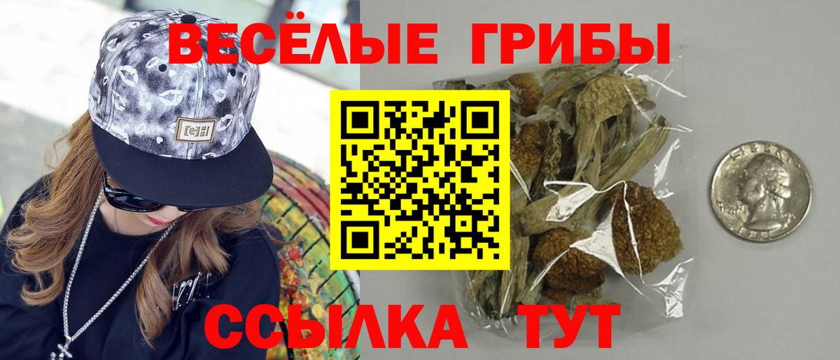 Галлюциногенные грибы Cubensis Карачаевск